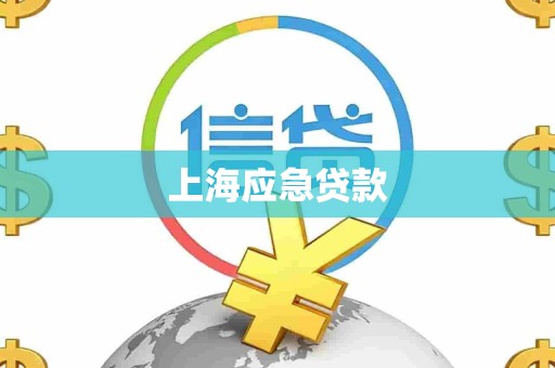 上海应急贷款