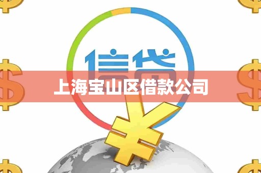 上海宝山区借款公司