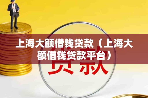 上海大额借钱贷款（上海大额借钱贷款平台）